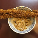 天丼ころも - 穴子丸見え。横真一文字の図