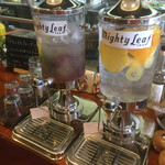 チャコール クッキング ツクバ マイス - デトックスウォーターサーバー