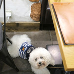 AU GAMIN DE TOKIO table - アンジェリーナのスマイル