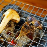 お魚と地酒 魚舟 - 