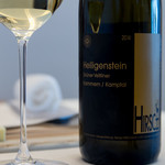 レミニセンス - グリューナー・フェルトリーナー2014年