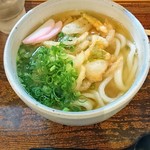 讃岐うどん はるしん - かき揚げうどん２玉810円