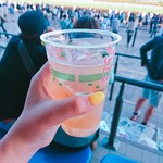 バー フィフス コーナー - オークスで買ったけど名前は忘れました