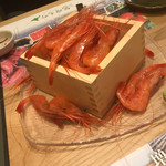 海鮮酒蔵 二三一 - 甘エビのこぼれ。