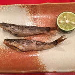 龍文支店 - メヒカリ