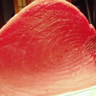 コロポックル_0