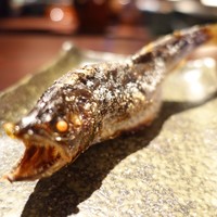 たでの葉 - 10.川辺産天然山女魚
