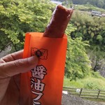 道の駅　ロック・ガーデンひちそう - 肉汁じゅわり