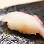 칸파치(Amberjack)