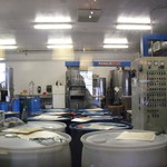 Sebastiani Vineyards and Winery  - 