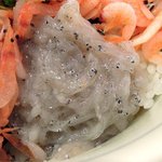 Yokohama Uoman - 横濱 魚萬 「生しらす桜えび丼」