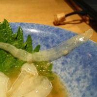 土佐料理 司 高知本店 - のれそれ（穴子の稚魚）アップ。