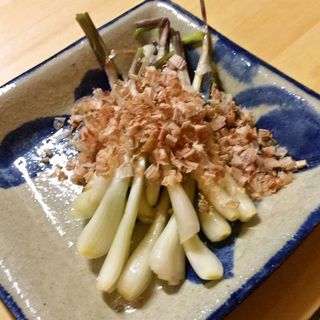 島唄居酒屋 喜山_1