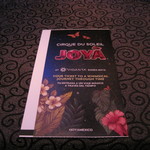 Cirque du Soleil Joya Vidanta Riviera Maya - 