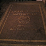 Cirque du Soleil Joya - 運ばれてきたハードカバー