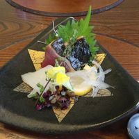 日本料理 梅林 - 鰹、アオリイカ、のれそれ