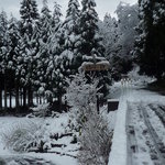 徳山鮓 - 店の前の道（当日は酷い雪でした）