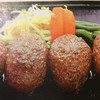 ほの字 - 料理写真:ハンブルクフォース