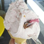 まきばのジャージー - 桜 側