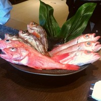 醍醐味 丸ビル - 