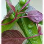 銀座 シェ・トモ - 