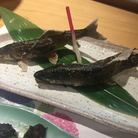 柳家錦 - 