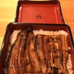 日本料理 柏屋 - 