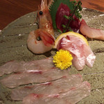 のどぐろ専門 銀座 中俣 - のどぐろの薄造りと鮮魚五点盛り合せ