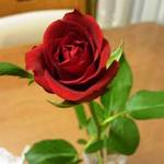 ステーキハウス キッチンリボン - 