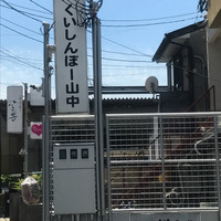 くいしんぼー山中 - 