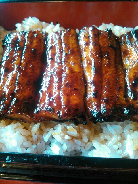 鰻鯉乃館 加茂店 - 泉中央（うなぎ）の写真