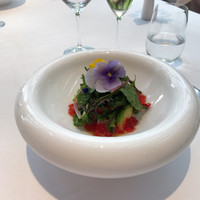 OTTO SETTE - 