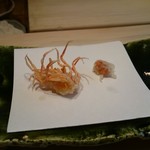 てんぷら　成生 - えびの頭と味噌