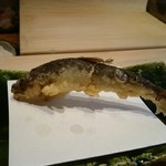 てんぷら　成生 - あゆ