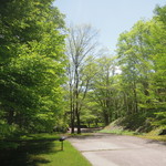 Porcupine - 庭園３