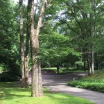 Porcupine - 庭園２