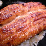 鈴木 - うなぎ重（アップ）