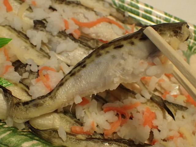 加藤本店 - 秋田（その他）の写真