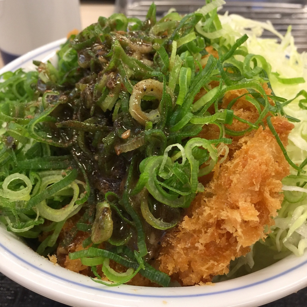 かつや 長野佐久店 name=