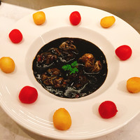 CINA New Modern Chinese - 