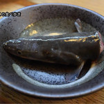 かぶと - 養殖頭