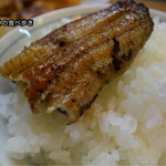 かぶと - 養殖蒲焼き