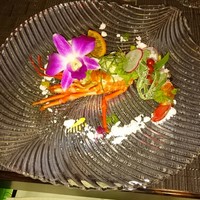 CANNA - 