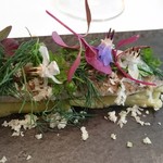 プレヴナンス - 