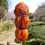 六義園 さくら茶屋 - 炭火焼団子胡桃入りみそ味 310円