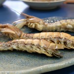 陸奥 こむらさき - シャコ海老