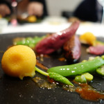 カンテサンス - 