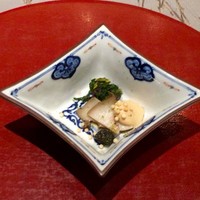 天空の庭　星のなる木 - 