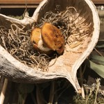 ラチュレ - 鹿とクルミのケークサレ