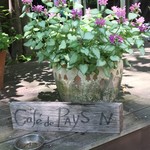 カフェドペイザン 八ヶ岳店 - 